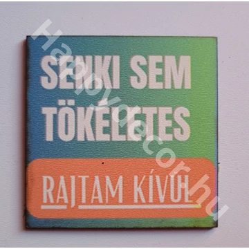 Hűtőmágnes senki sem tökéletes 