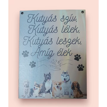 1. kép