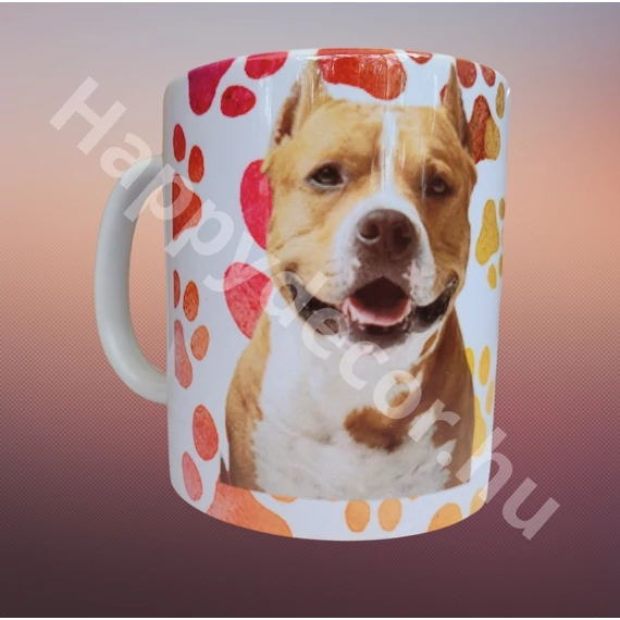 Kutyás Amerikai Staffordshire Terrier 