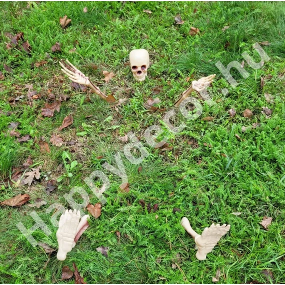 Halloween csontváz 