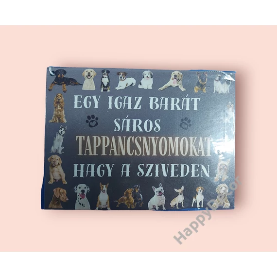 1. kép