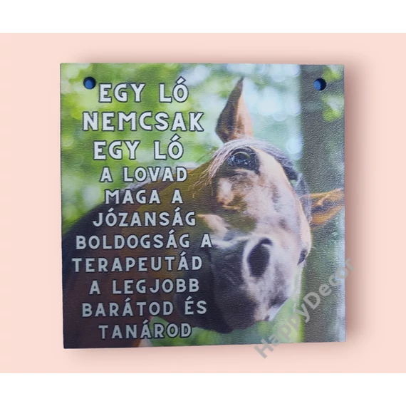 1. kép